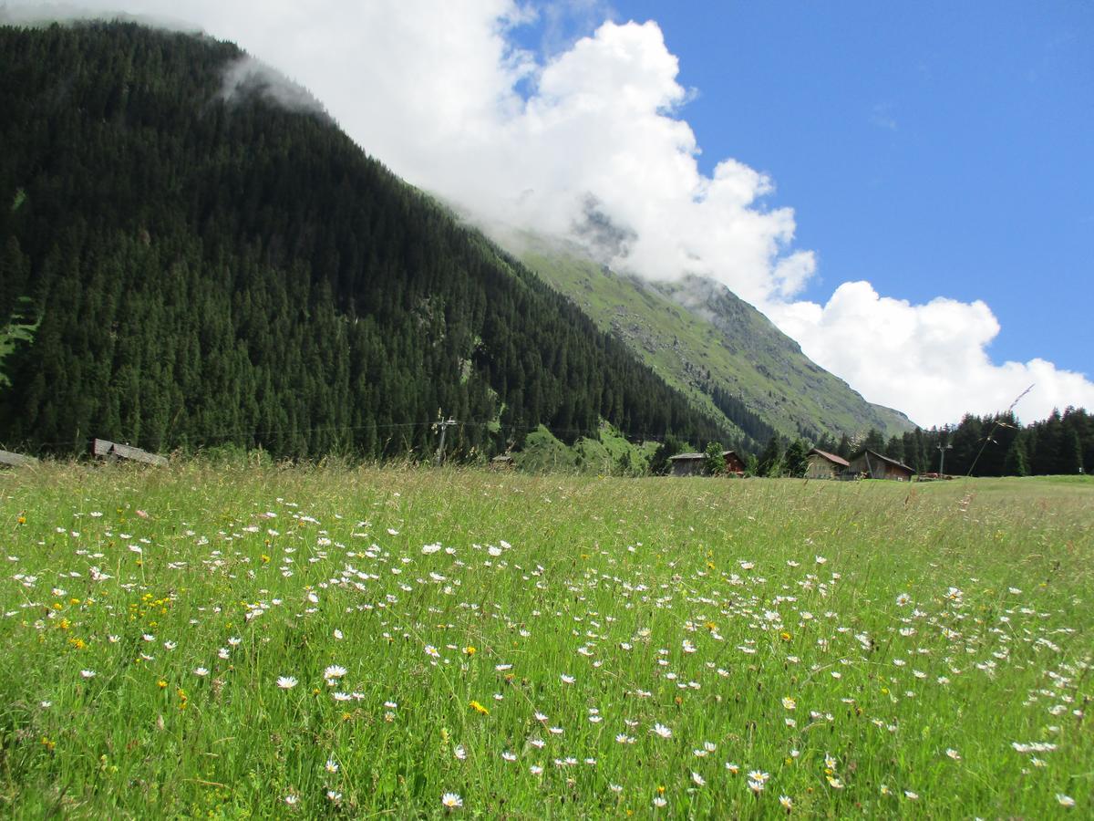 Hotel Silvretta Гаргеллен Экстерьер фото